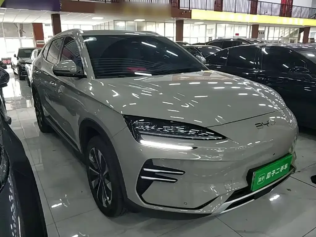 BYD PLUS New Energy — фото 6