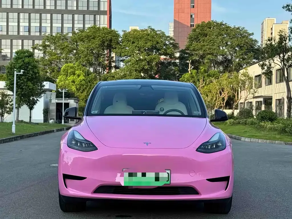 Tesla Model Y — фото 6