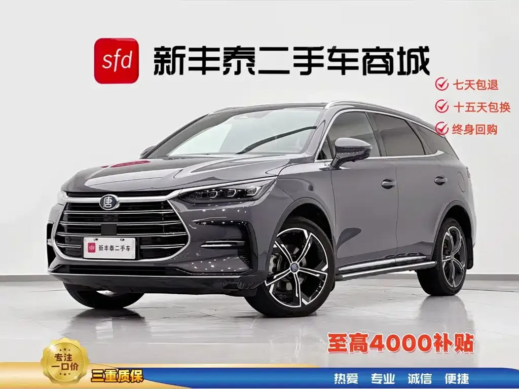 BYD Tang New Energy — фото 1