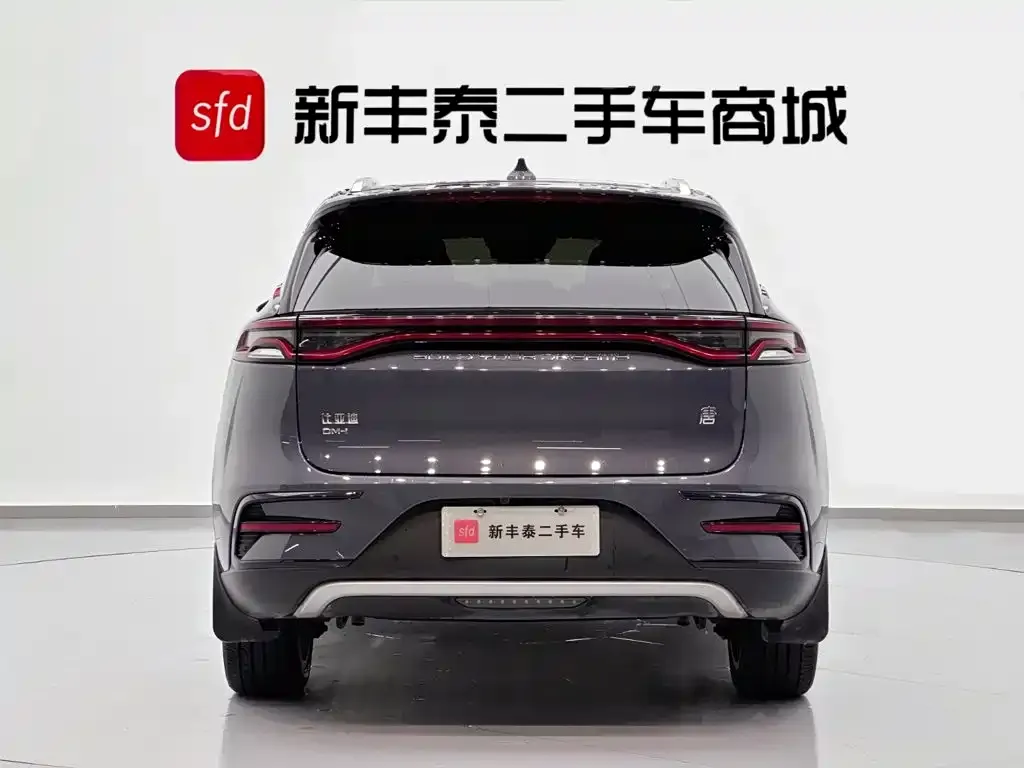 BYD Tang New Energy — фото 4