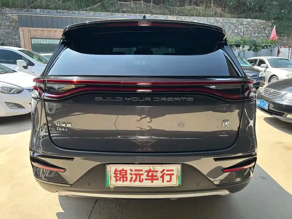 BYD Tang New Energy — фото 6