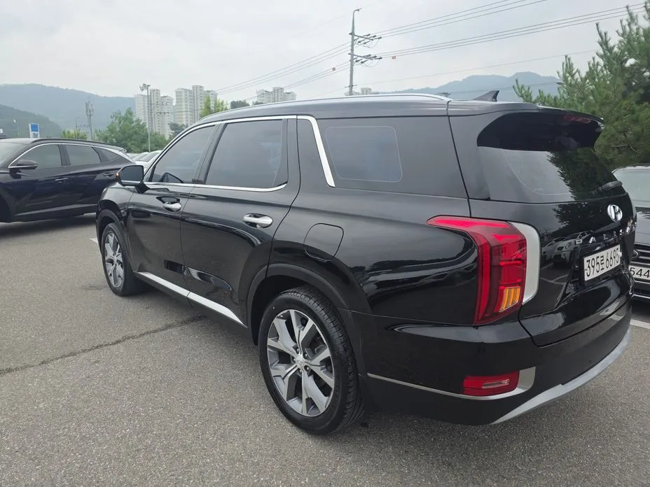 Hyundai Palisade — фото 9