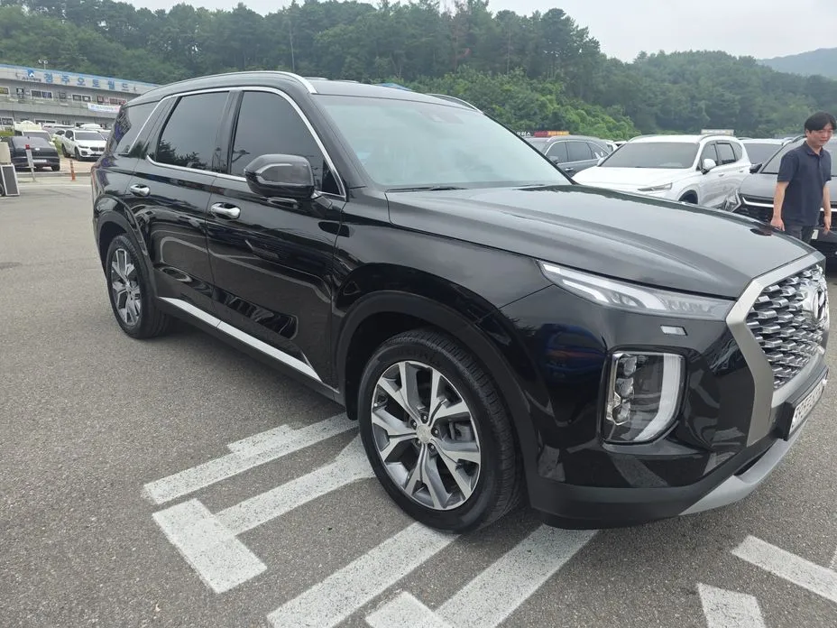 Hyundai Palisade — фото 10