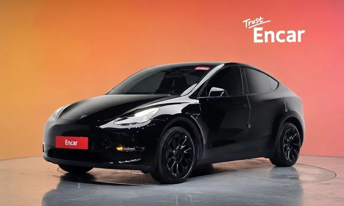 Tesla Model Y — фото 1