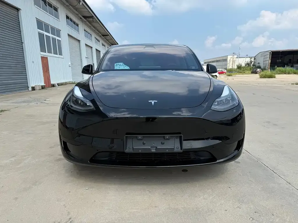 Tesla Model Y — фото 2