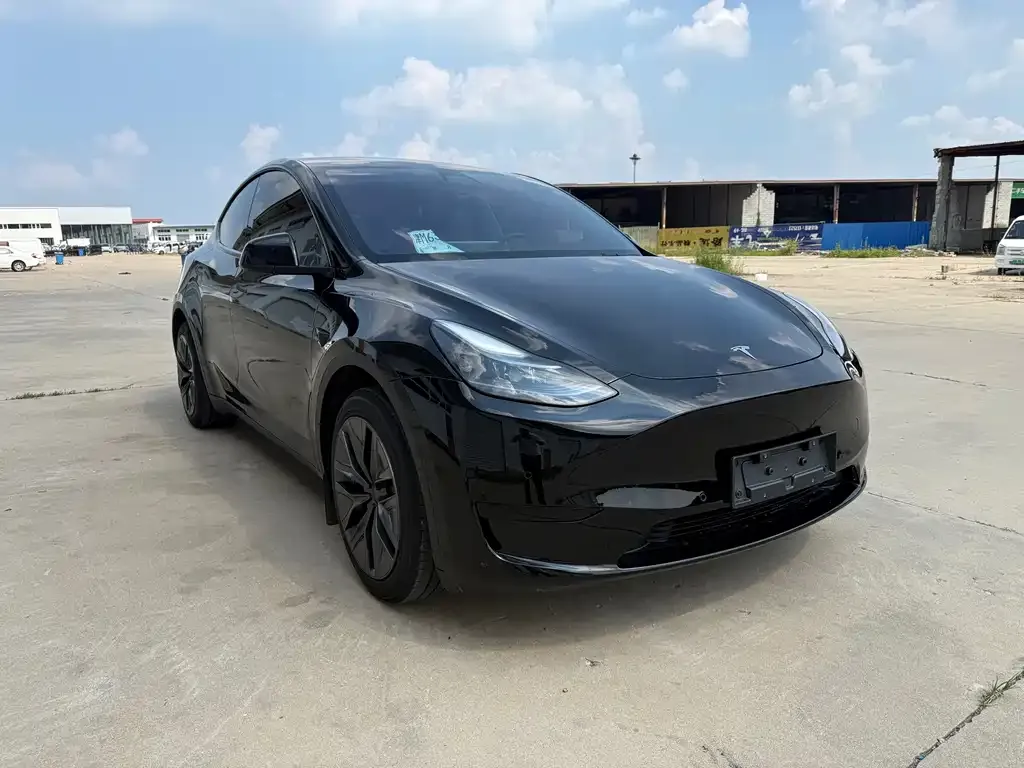 Tesla Model Y — фото 6