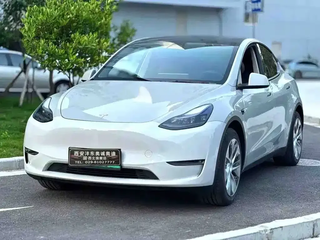 Tesla Model Y — фото 1