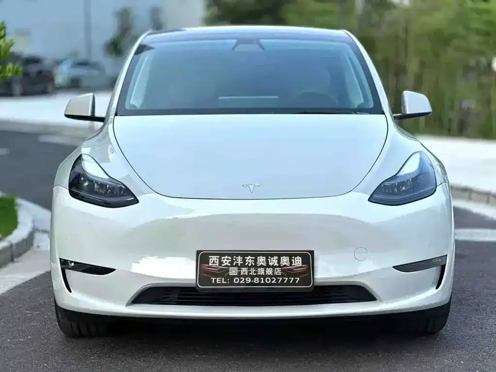 Tesla Model Y — фото 3