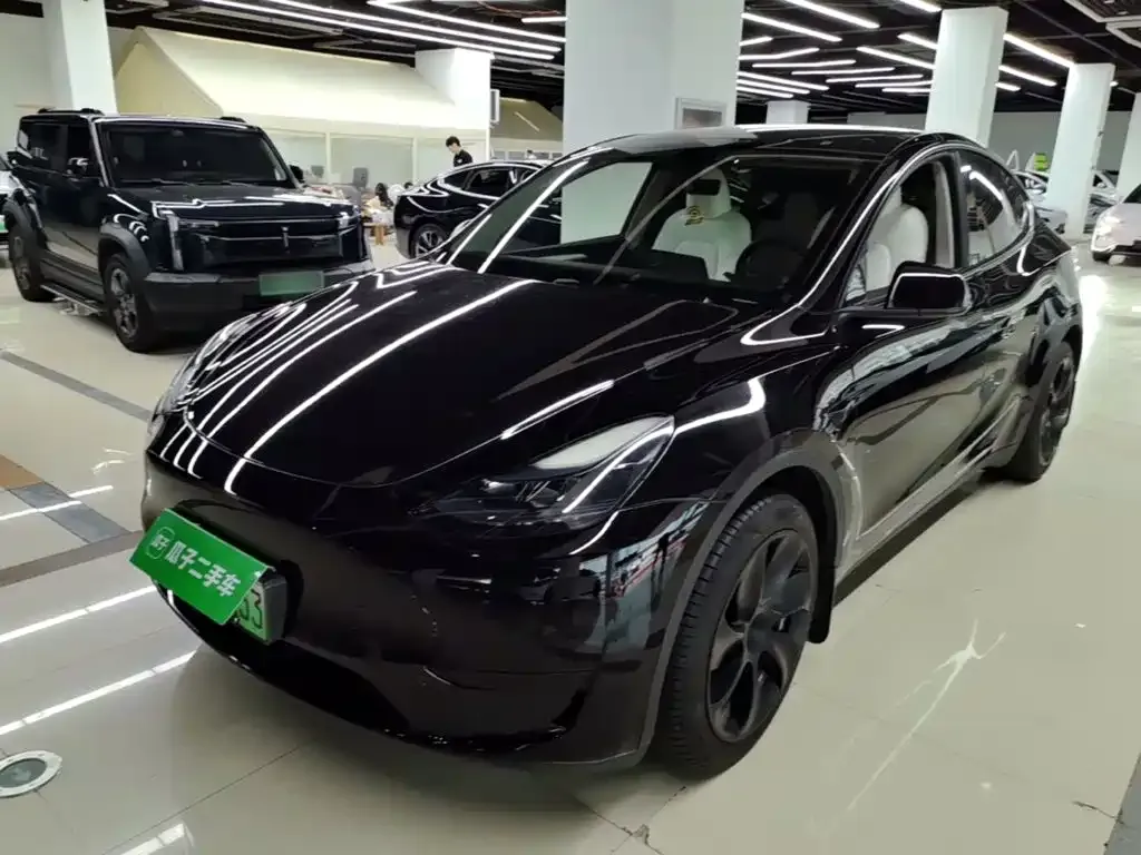 Tesla Model Y — фото 1