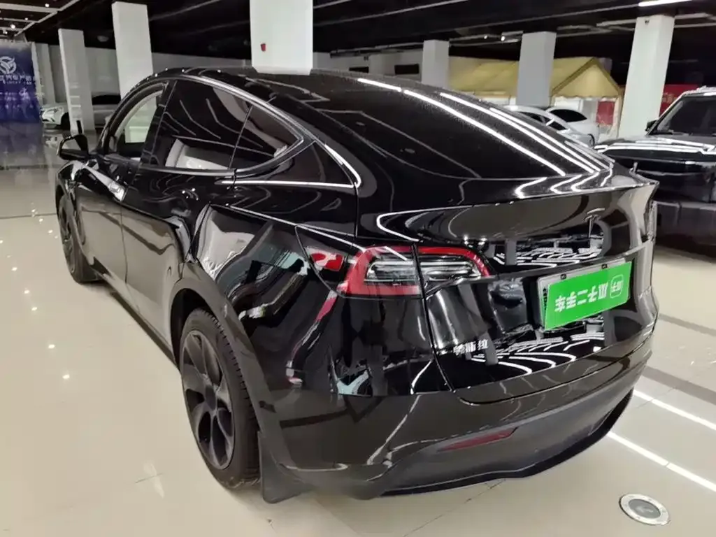 Tesla Model Y — фото 10