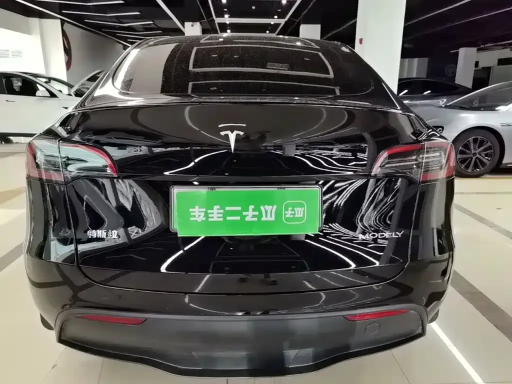 Tesla Model Y — фото 9