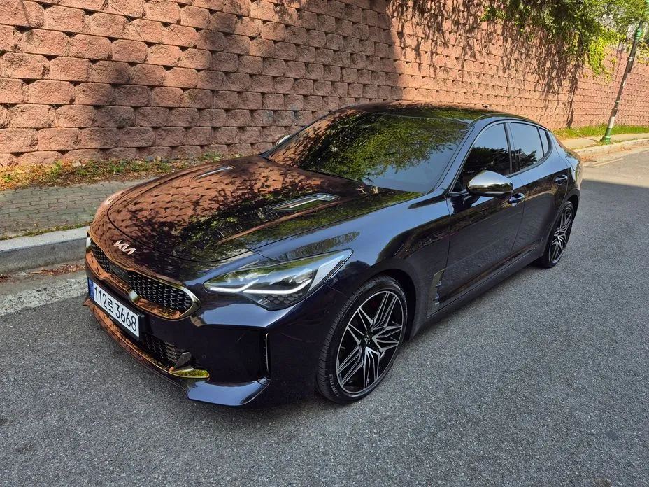 Kia Stinger — фото 10