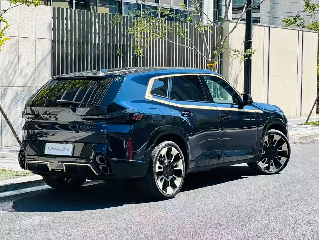 BMW XM — фото 9