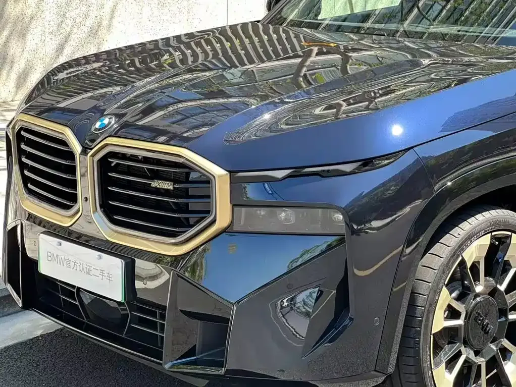 BMW XM — фото 7