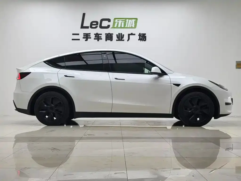 Tesla Model Y — фото 10