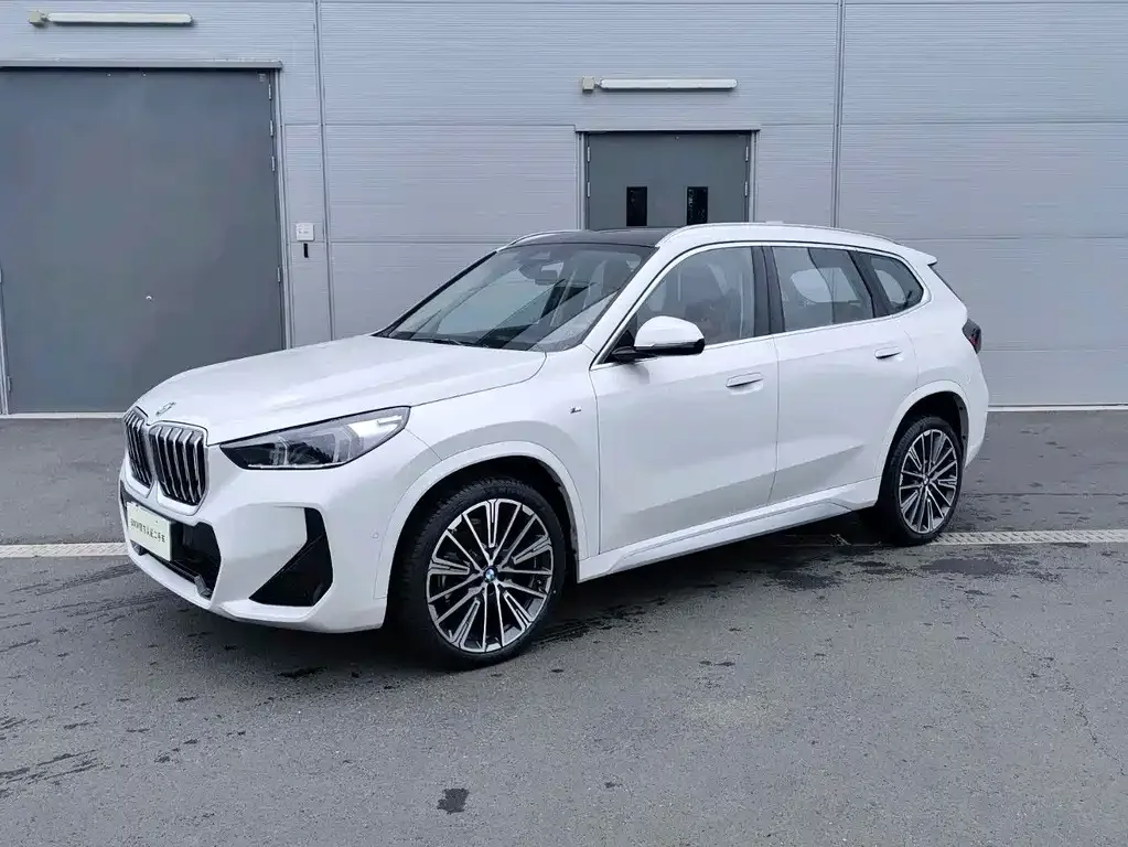 BMW X1 — фото 1