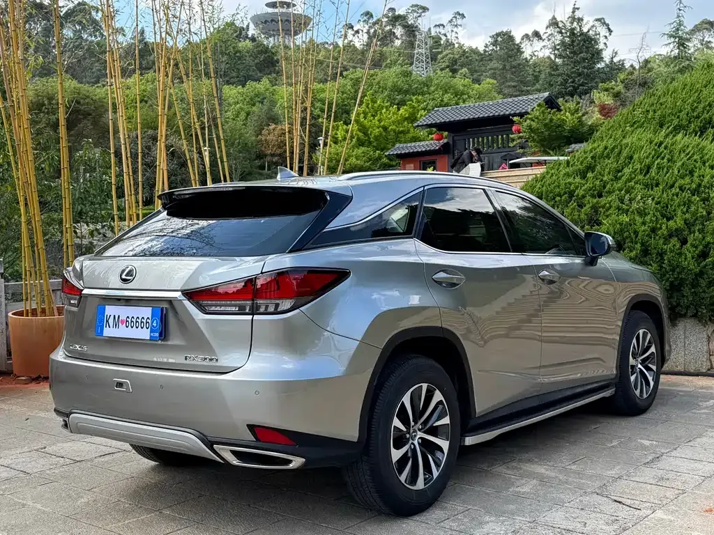 Lexus RX — фото 5