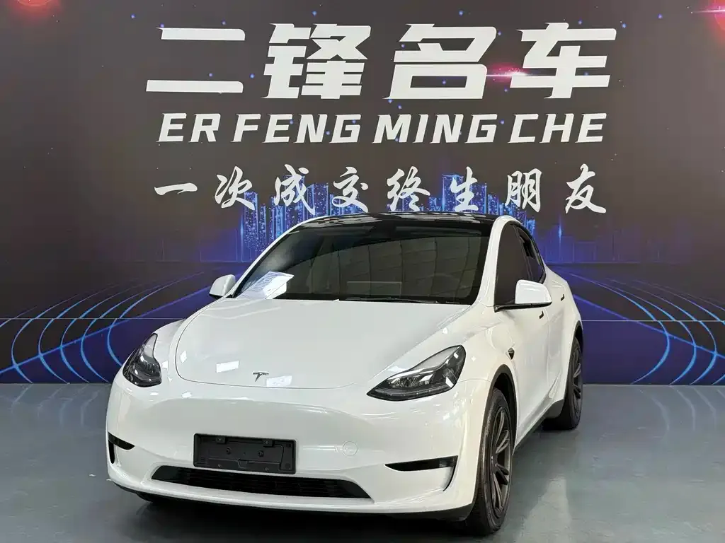 Tesla Model Y — фото 1