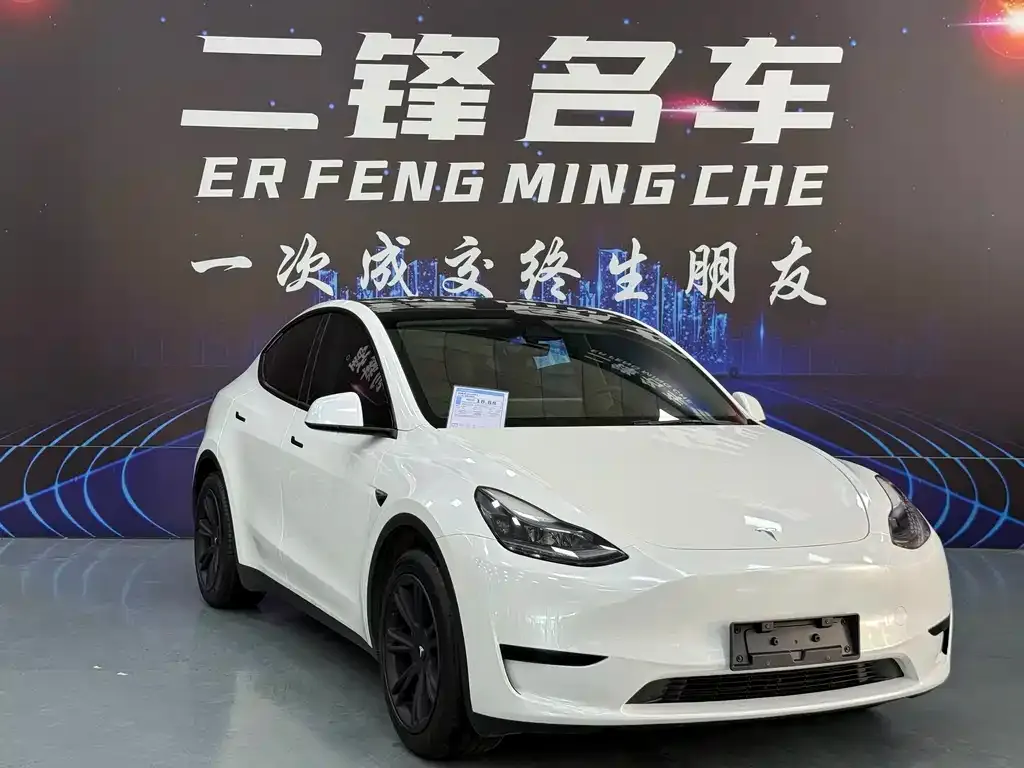 Tesla Model Y — фото 6