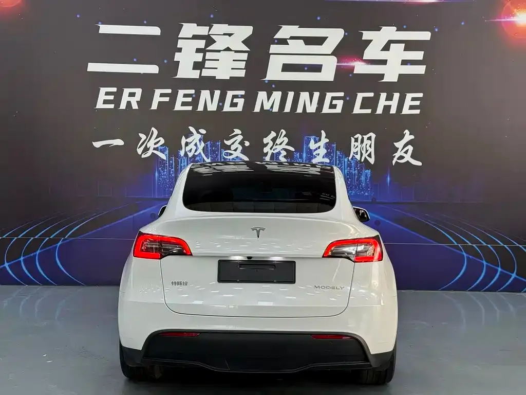 Tesla Model Y — фото 2