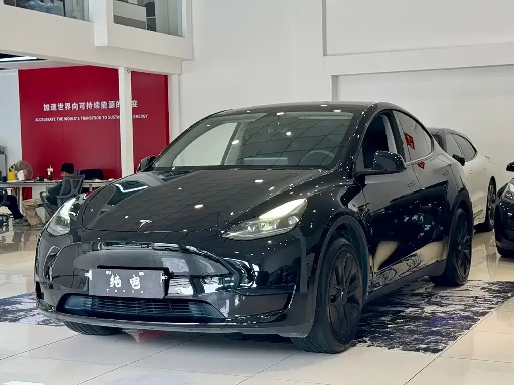 Tesla Model Y — фото 1