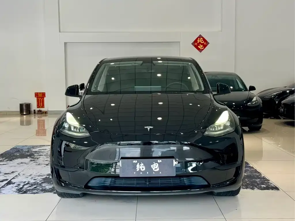 Tesla Model Y — фото 6