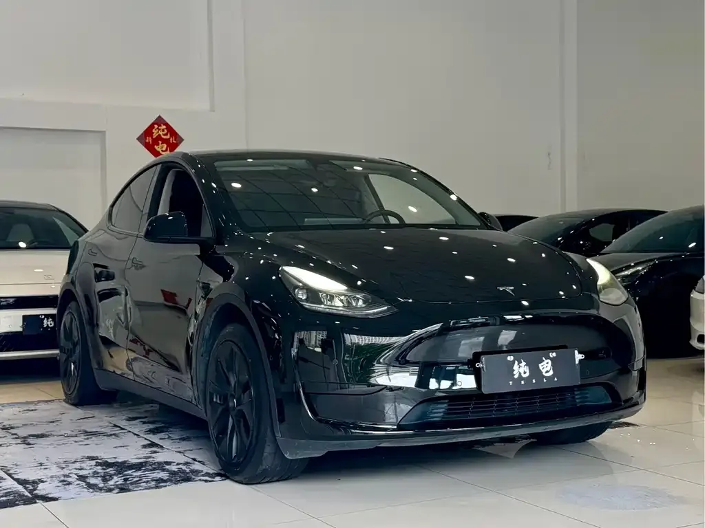 Tesla Model Y — фото 8
