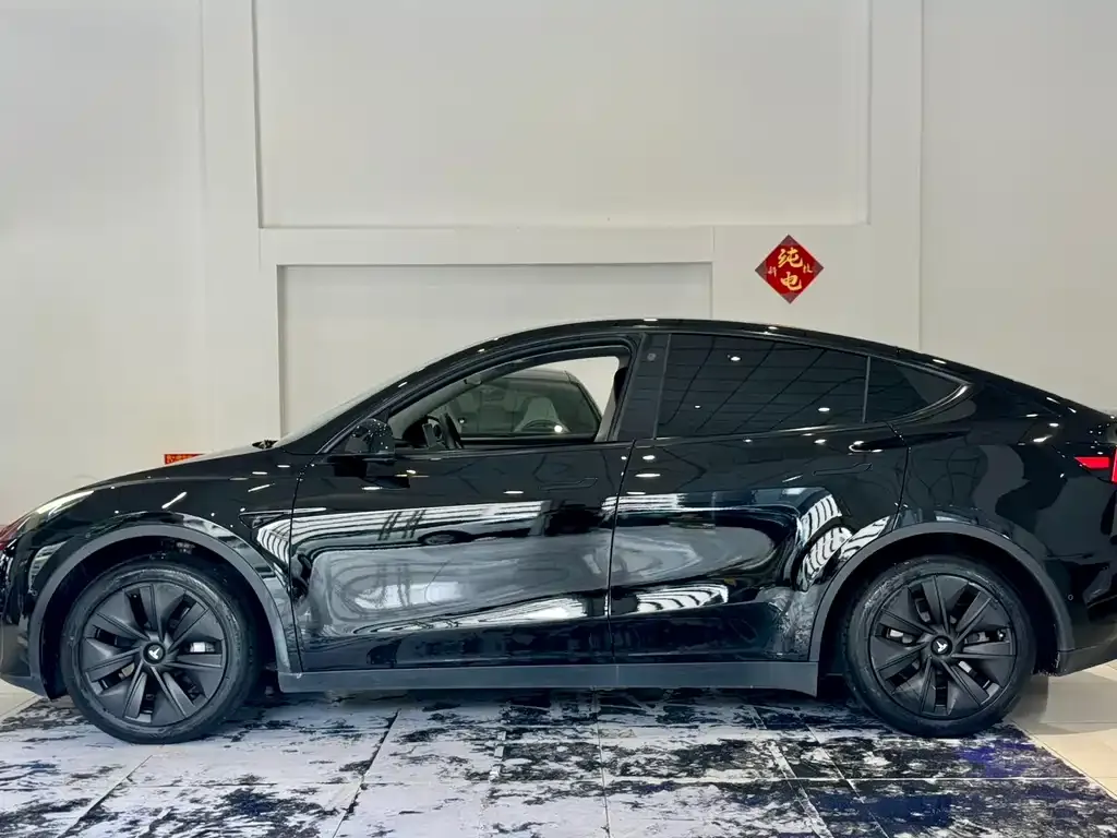 Tesla Model Y — фото 5