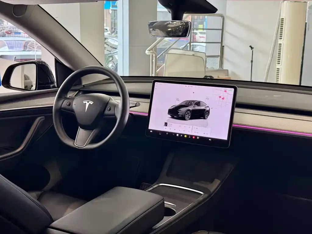 Tesla Model Y — фото 10