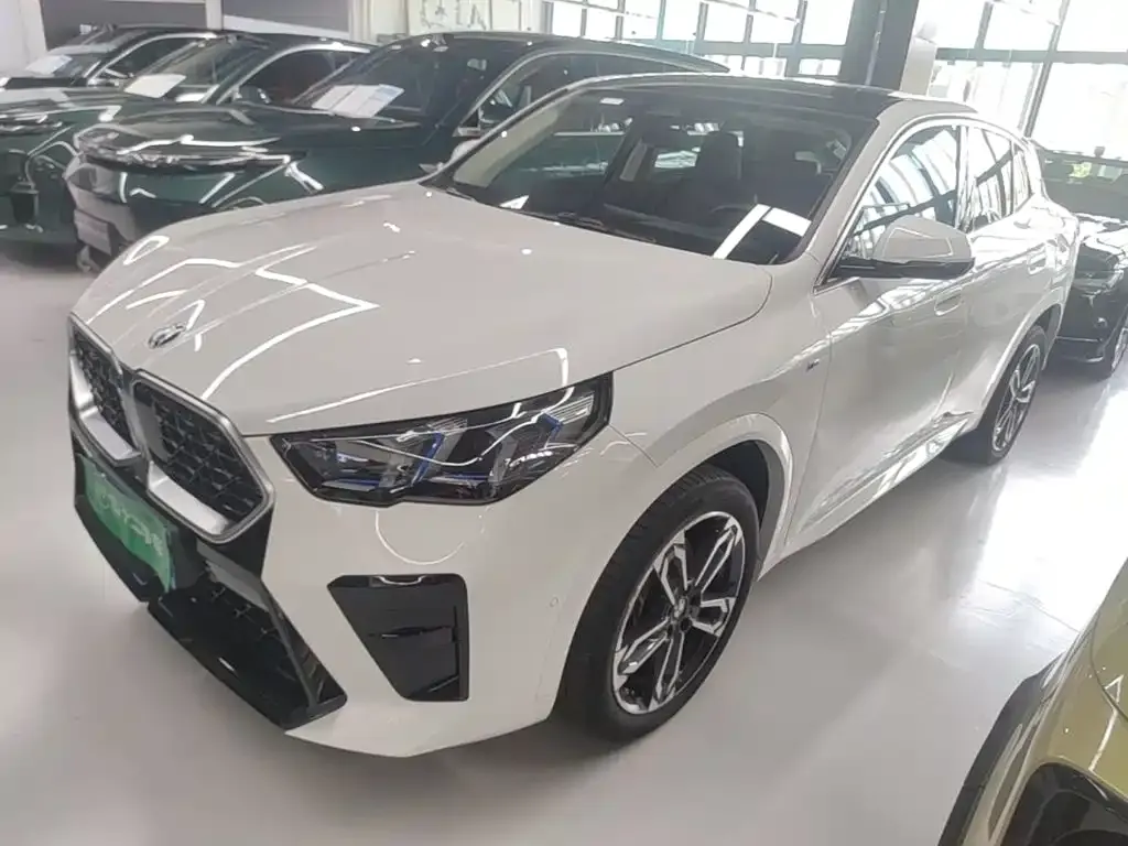 BMW X2 (Import) — фото 7