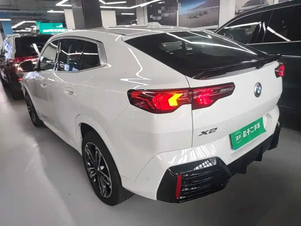 BMW X2 (Import) — фото 9