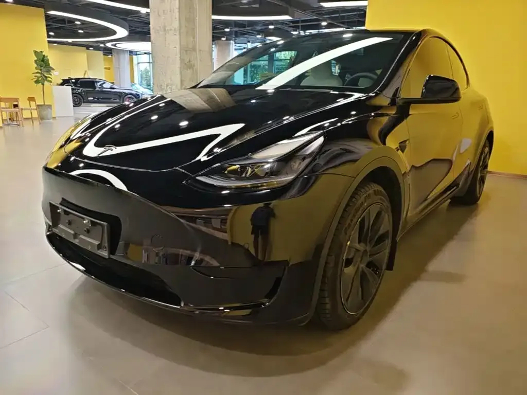 Tesla Model Y — фото 10