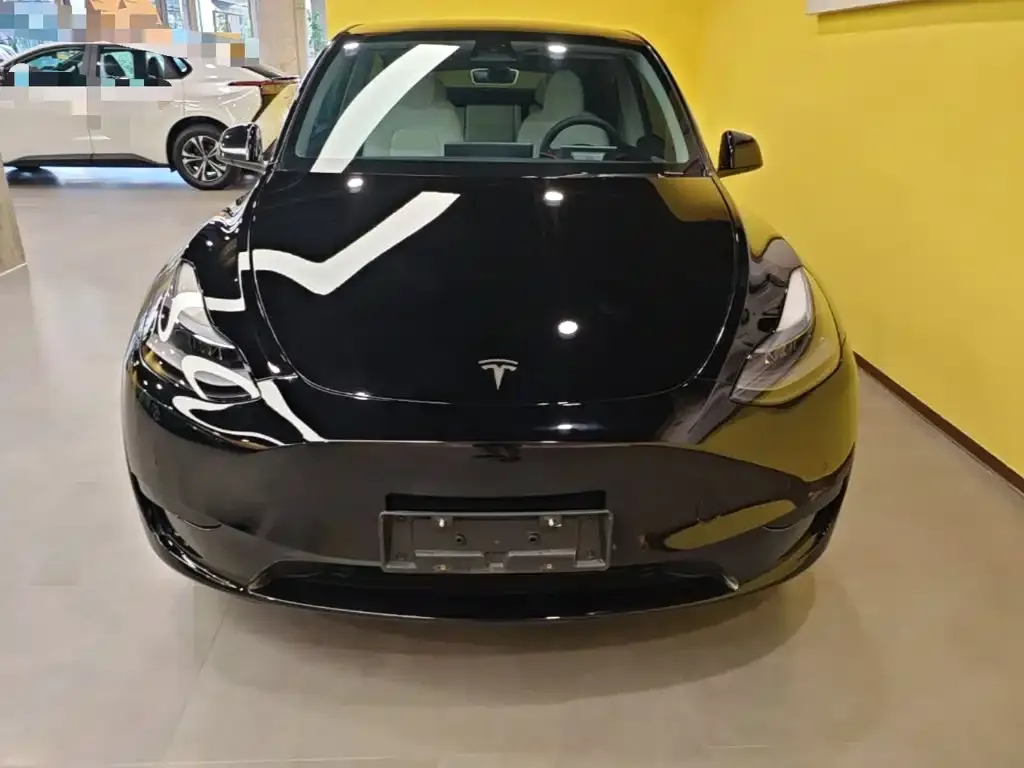 Tesla Model Y — фото 5