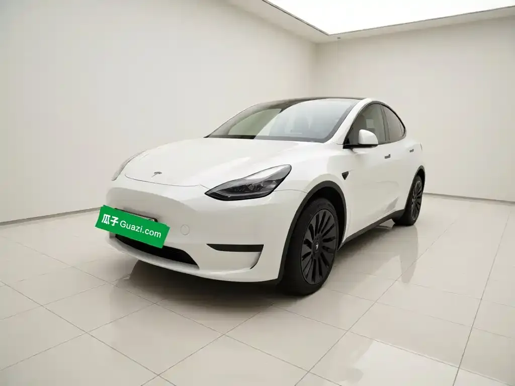 Tesla Model Y — фото 1