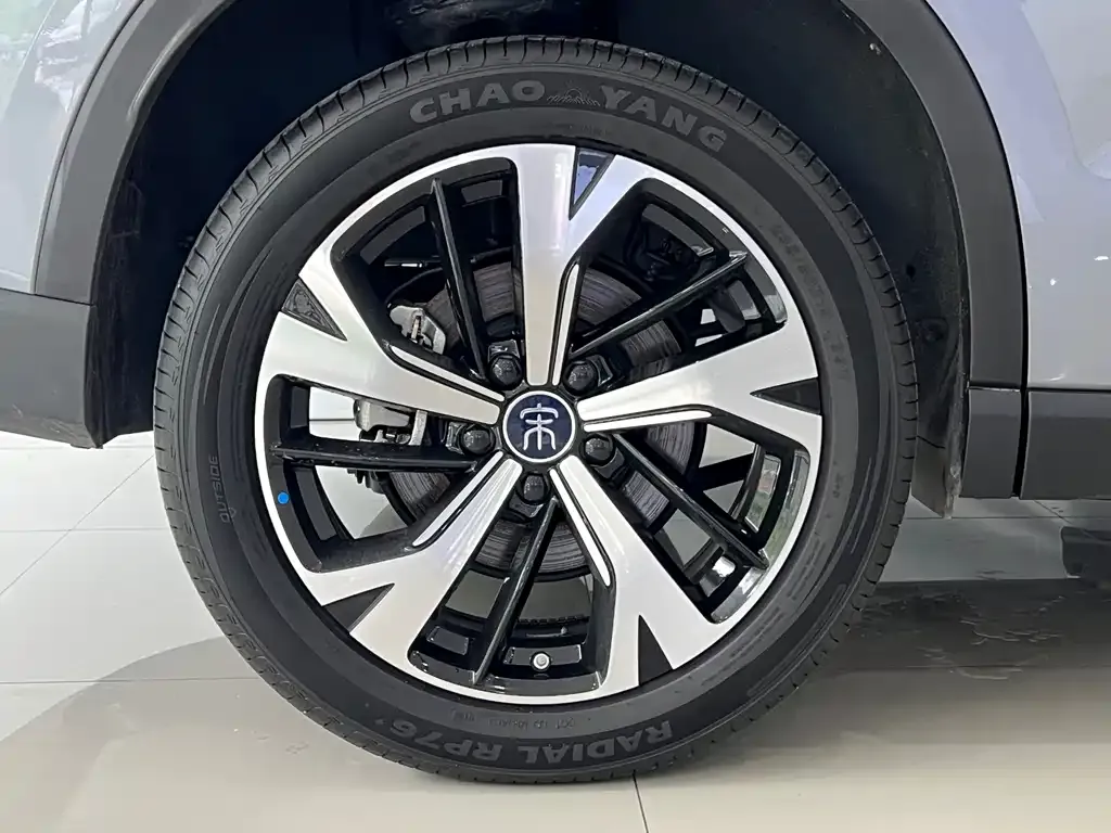 BYD Pro New Energy — фото 10