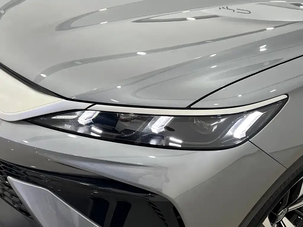 BYD Pro New Energy — фото 7