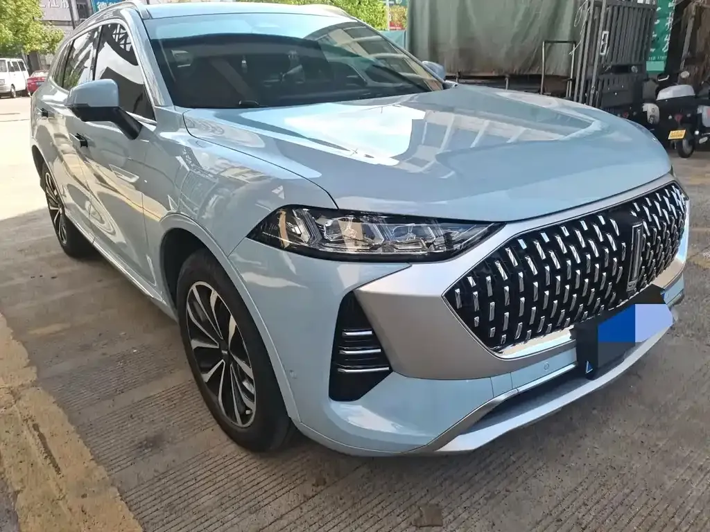 Wey Mocha — фото 6