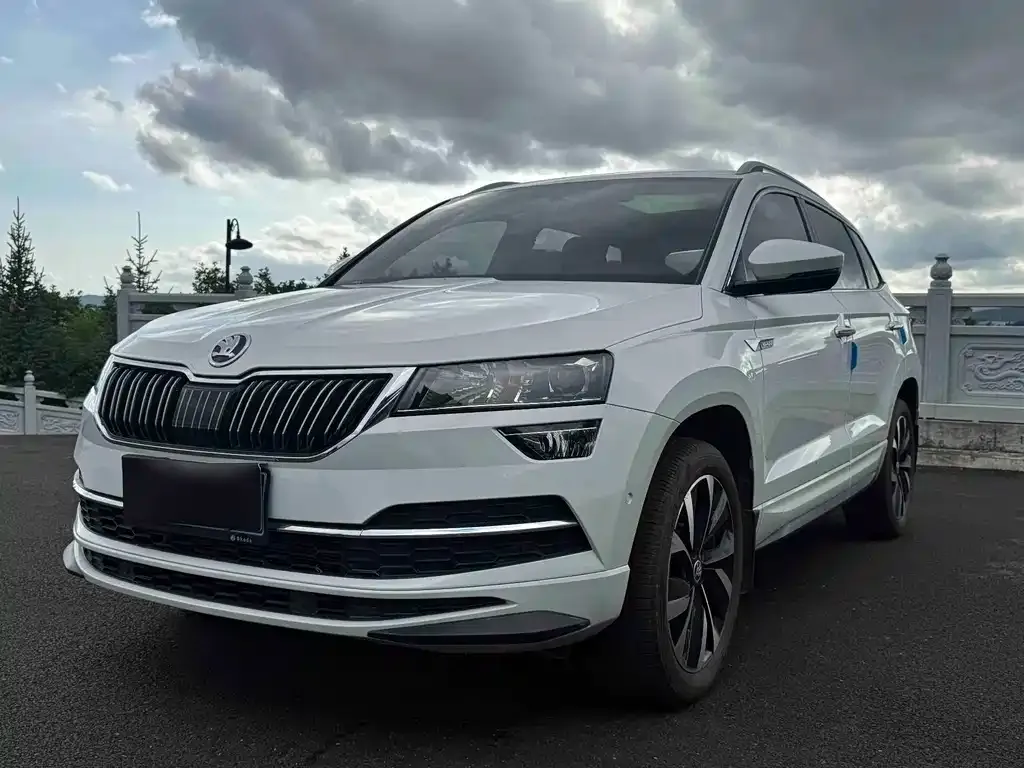 Skoda Karoq — фото 1