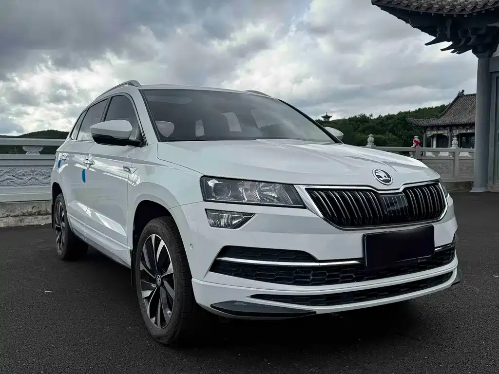 Skoda Karoq — фото 8