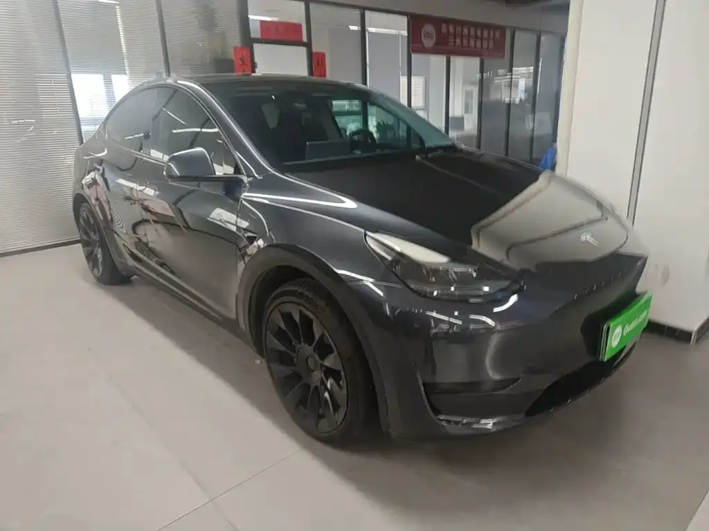 Tesla Model Y — фото 6