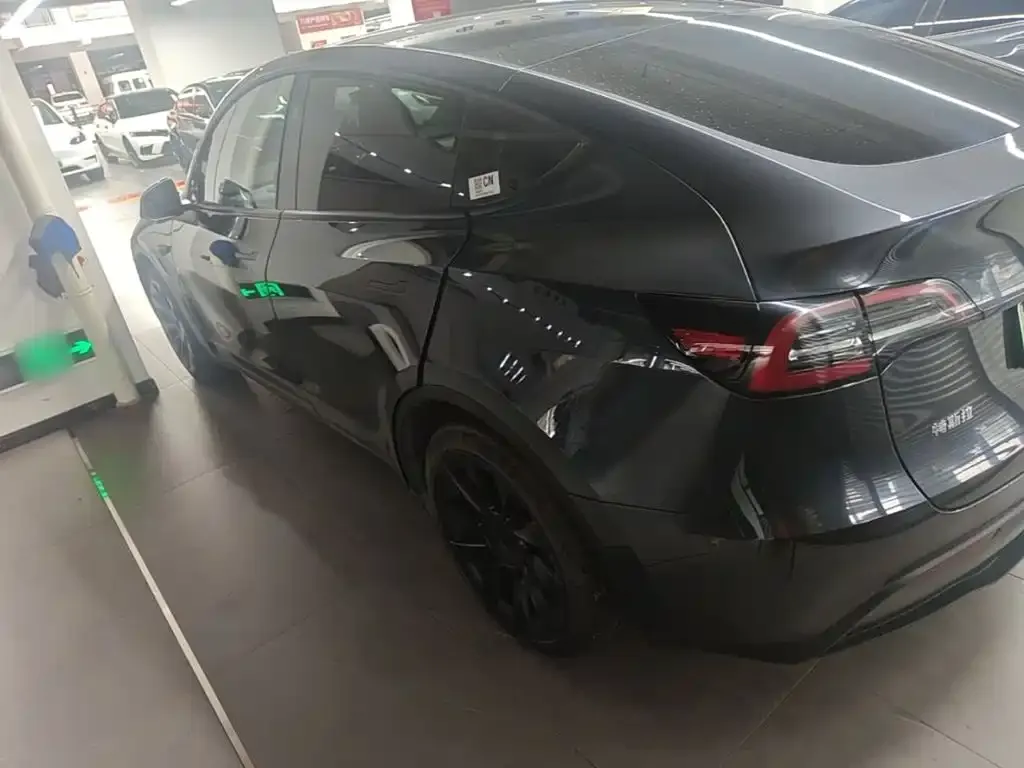 Tesla Model Y — фото 2