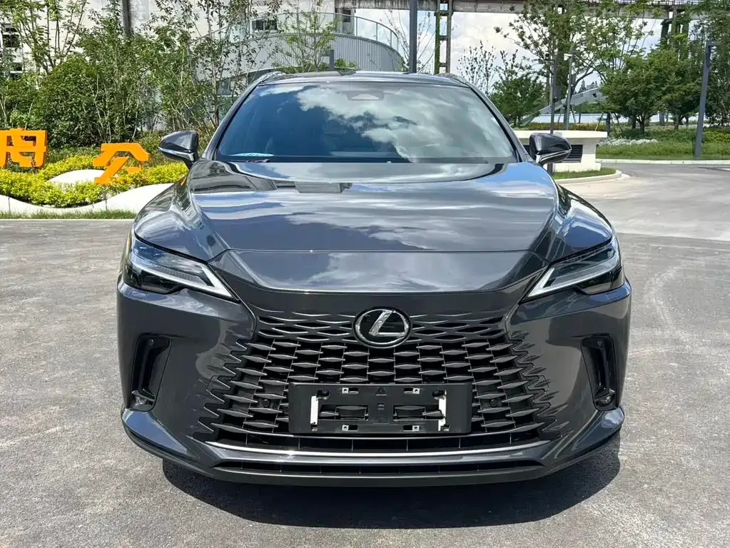 Lexus RX New Energy — фото 8