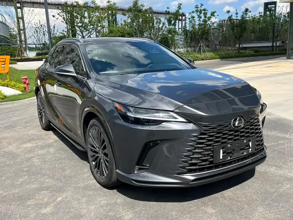 Lexus RX New Energy — фото 9