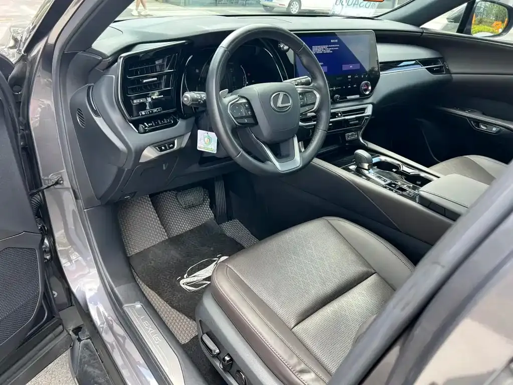 Lexus RX New Energy — фото 10