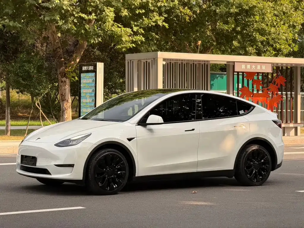 Tesla Model Y — фото 1