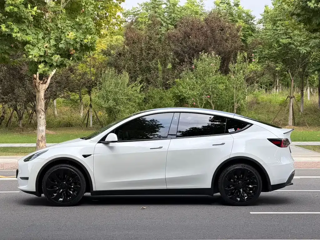 Tesla Model Y — фото 10