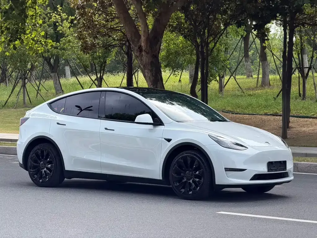 Tesla Model Y — фото 8