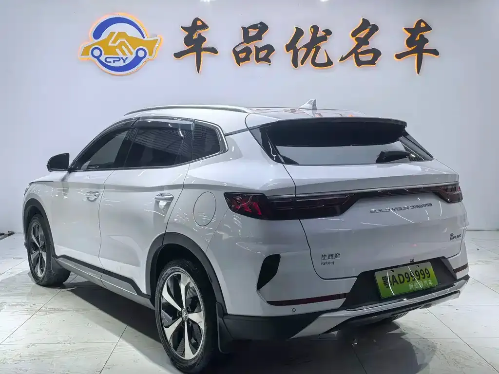 BYD PLUS New Energy — фото 8