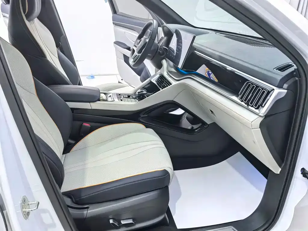 BYD PLUS New Energy — фото 7