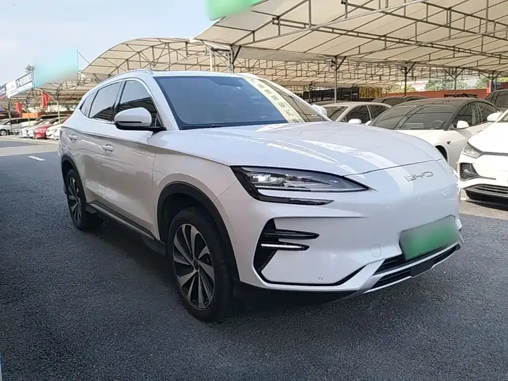 BYD PLUS New Energy — фото 8